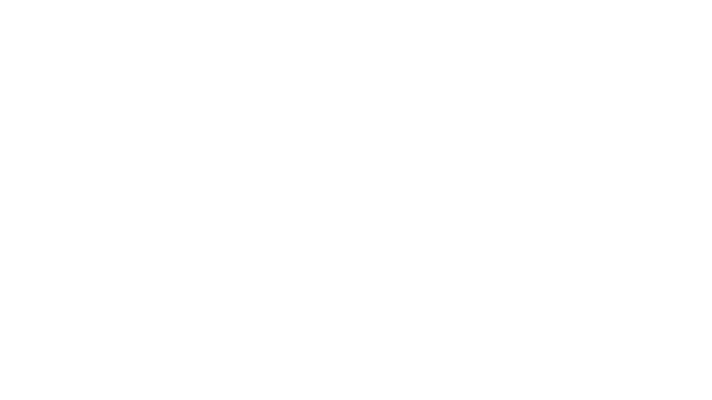 GSVI